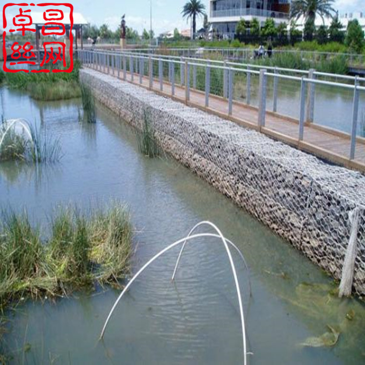 1654307907208036619.jpg 卓昌 (565)_副本.jpg