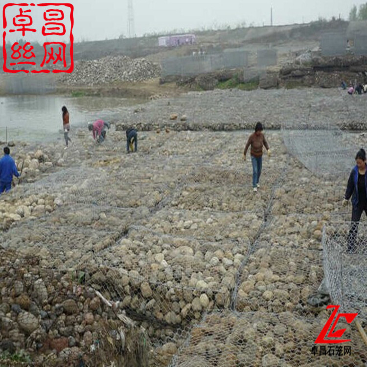 1656037127581055902.jpg 卓昌 (68)_副本.jpg