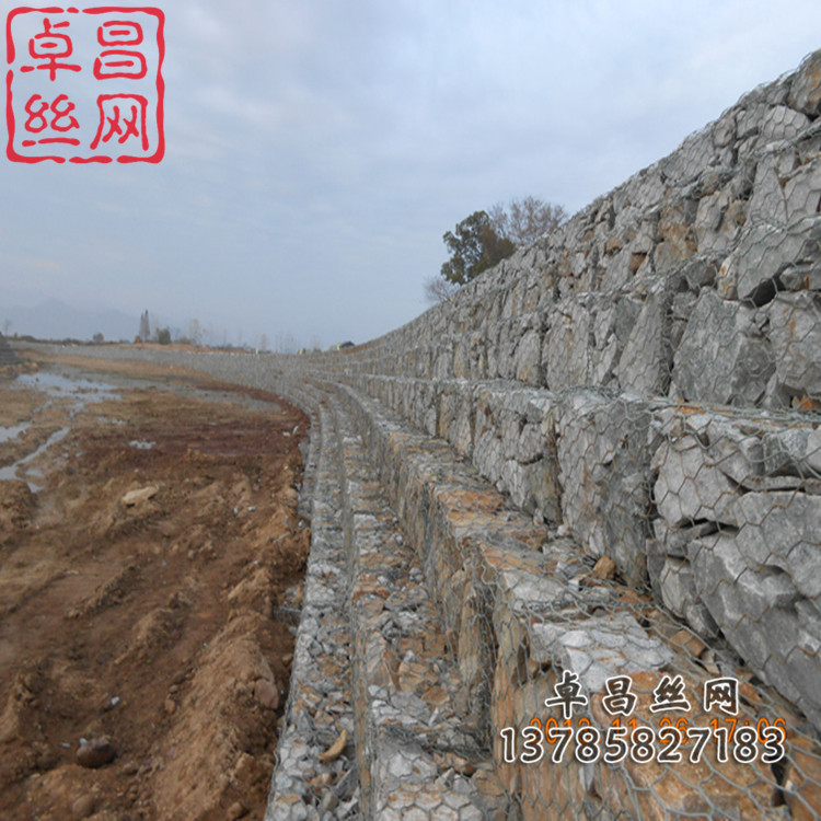 卓昌 (276)_副本.jpg