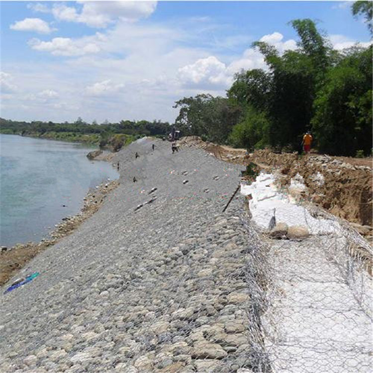 1693015234484052173.jpg 卓昌 (268).jpg